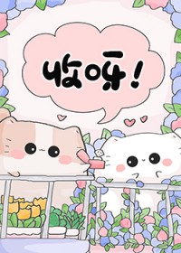 变猫后我掉了四层马甲